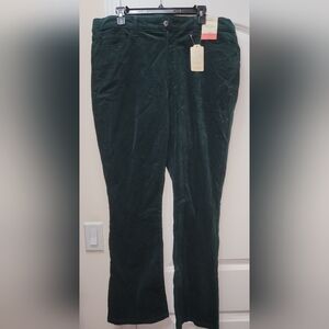 Elegant Green Velvet Boot Cut Pants